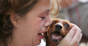 Die Helden von New Orleans – Bild: Animal Planet