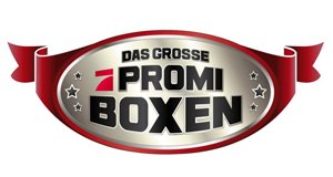 Das große ProSieben Promiboxen – Bild: ProSieben
