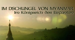 Im Dschungel von Myanmar – Bild: BBC/ZDF/arte