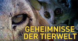 Geheimnisse der Tierwelt – Bild: Nat Geo Wild