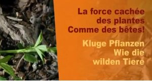 Kluge Pflanzen – Bild: arte Kluge Pflanzen – Bild: arte