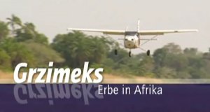 Grzimeks Erbe – Bild: BR Grzimeks Erbe – Bild: BR