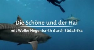 Die Schöne und der Hai – Bild: arte