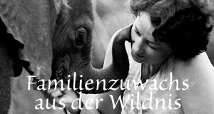 Familienzuwachs aus der Wildnis – Bild: DCI