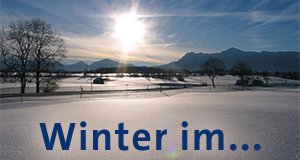Winter im …