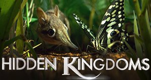 Hidden Kingdoms – Im Reich der kleinen Tiere