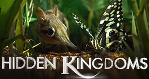 Hidden Kingdoms – Im Reich der kleinen Tiere – Bild: BBC One