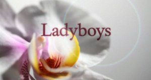 Ladyboys – Bild: Sky Living