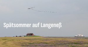 Spätsommer auf Langeneß – Bild: NDR/Christina Georgi & Jens Kösters Spätsommer auf Langeneß – Bild: NDR/Christina Georgi & Jens Kösters