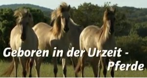Pferde: Geboren in der Urzeit – Bild: BR Pferde: Geboren in der Urzeit – Bild: BR