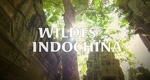 Wildes Indochina – Bild: arte