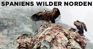 Spaniens wilder Norden – Bild: BR/Bernhard Rübe Spaniens wilder Norden – Bild: BR/Bernhard Rübe