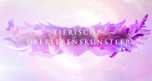 Tierische Überlebenskünstler – Bild: arte Tierische Überlebenskünstler – Bild: arte