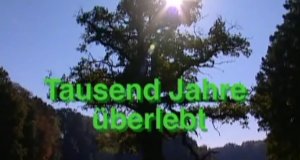 1000 Jahre überlebt – Bild: WDR 1000 Jahre überlebt – Bild: WDR