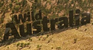 Wildes Australien – Bild: Nat Geo Wild/Screenshot