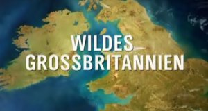 Wildes Großbritannien – Bild: NDR/BBC Wildes Großbritannien – Bild: NDR/BBC