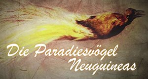 Die Paradiesvögel Neuguineas – Bild: arte Die Paradiesvögel Neuguineas – Bild: arte