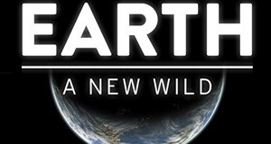 Mensch und Natur: Lebensraum Wildnis – Bild: PBS