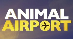 Animal Airport – Wenn Tiere reisen – Bild: Icon Films Animal Airport – Wenn Tiere reisen – Bild: Icon Films