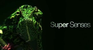 Super-Sinne der Tiere – Bild: Big Media/Screenshot Super-Sinne der Tiere – Bild: Big Media/Screenshot