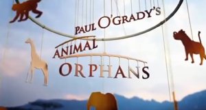 Paul O’Grady’s Animal Orphans