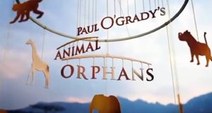 Paul O’Grady’s Animal Orphans – Bild: itv/Screenshot Paul O’Grady’s Animal Orphans – Bild: itv/Screenshot