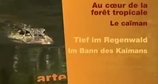 Tief im Regenwald – Bild: arte