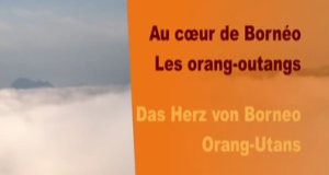 Das Herz von Borneo – Bild: arte/mdr Das Herz von Borneo – Bild: arte/mdr
