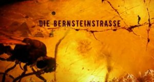 Die Bernsteinstraße – Bild: ZDF/arte