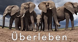 Überleben – Bild: BBC Überleben – Bild: BBC
