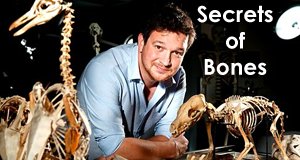 Das Geheimnis der Knochen