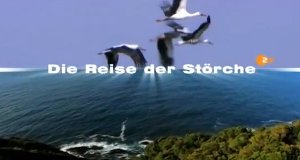 Die Reise der Störche – Bild: ZDF Die Reise der Störche – Bild: ZDF
