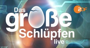 Das große Schlüpfen – Bild: ZDF Das große Schlüpfen – Bild: ZDF