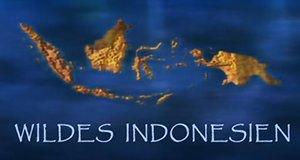 Wildes Indonesien – Bild: Nat Geo Wild Wildes Indonesien – Bild: Nat Geo Wild