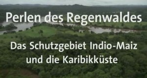 Perlen des Regenwaldes – Bild: arte/mdr Perlen des Regenwaldes – Bild: arte/mdr