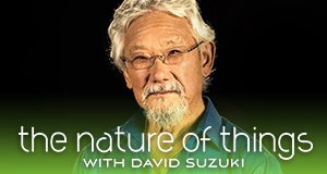 The Nature of Things – Bild: CBC The Nature of Things – Bild: CBC