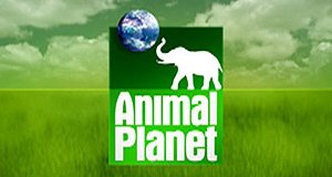 Wenn Tiere sprechen – Bild: Animal Planet Wenn Tiere sprechen – Bild: Animal Planet