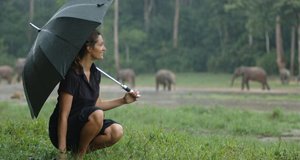 Expedition Afrika – Bild: BBC Expedition Afrika – Bild: BBC