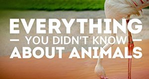 Tierisch unglaublich! – Bild: Nat Geo Wild