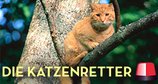 Die Katzenretter - Einsatz in der Baumkrone – Bild: Animal Planet/Screenshot Die Katzenretter - Einsatz in der Baumkrone – Bild: Animal Planet/Screenshot
