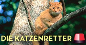 Die Katzenretter – Einsatz in der Baumkrone