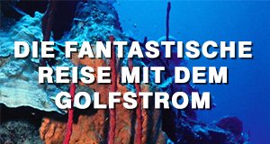 Die fantastische Reise mit dem Golfstrom – Bild: BR Die fantastische Reise mit dem Golfstrom – Bild: BR