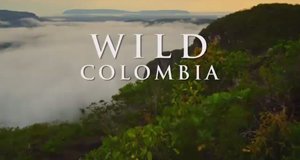 Wildes Kolumbien – Bild: Nat Geo Wild/Screenshot