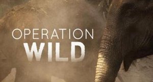 Operation Wild – Tierärzte in der Wildnis – Bild: PBS Operation Wild – Tierärzte in der Wildnis – Bild: PBS