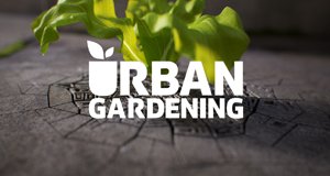 Urban Gardening – Bild: SRF Urban Gardening – Bild: SRF