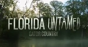 Wildes Florida – Bild: Nat Geo Wild/Screenshot Wildes Florida – Bild: Nat Geo Wild/Screenshot