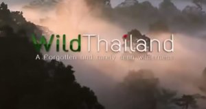 Wildes Thailand – Bild: Nat Geo Wild/Screenshot