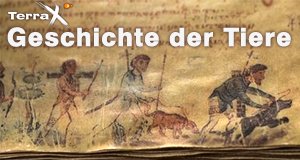 Geschichte der Tiere – Bild: ZDF/Jasper Engel Geschichte der Tiere – Bild: ZDF/Jasper Engel