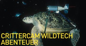 Crittercam WildTech Abenteuer – Bild: NGC Europe Limited Crittercam WildTech Abenteuer – Bild: NGC Europe Limited