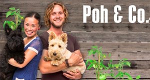 Poh & Co. – Bild: SBS One